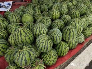 洪大炮吃瓜,揭秘娱乐圈幕后风云