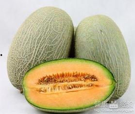 吃狗肉后能吃哈密瓜么,哈密瓜能同食吗？营养与健康的探讨