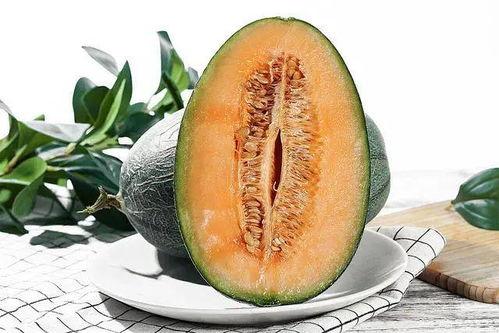 吃瓜哈蜜瓜,揭秘吃瓜哈蜜瓜的独特魅力