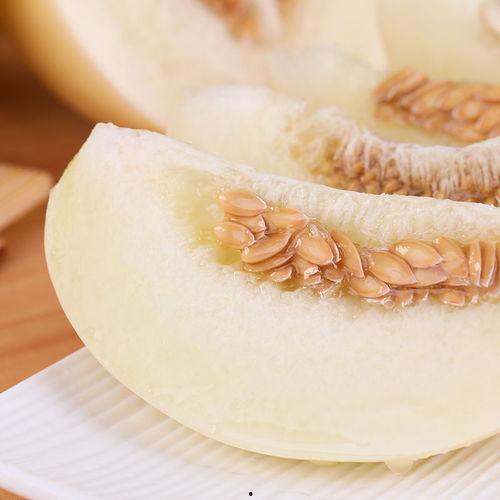 白皮脆瓜怎么吃,轻松解锁美味新体验