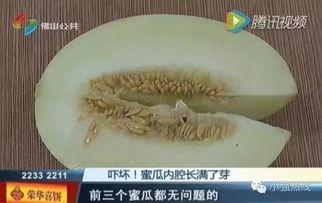 随机吃瓜22,揭秘娱乐圈背后的秘密与真相