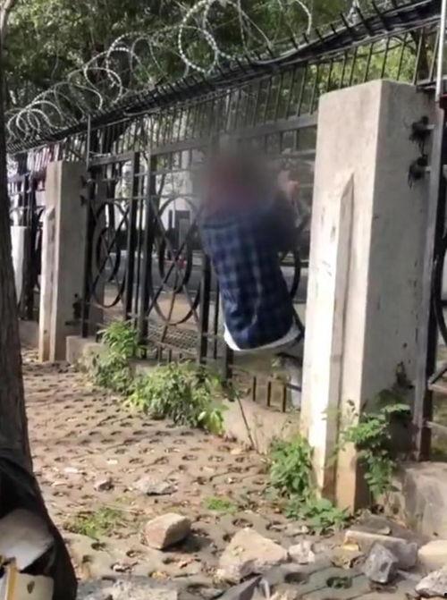 学校围栏吃瓜,校园围栏下的瓜田奇遇记