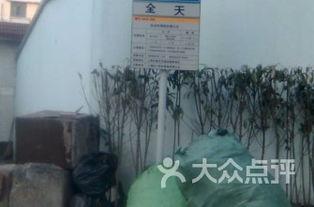 曲阳停车场吃瓜,吃瓜群众的欢乐盛宴