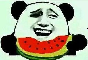 吃瓜群众去看看,吃瓜群众带你领略明星幕后故事