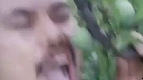 视频吃瓜刨肠子