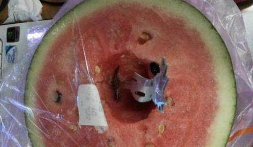 视频吃瓜刨肠子