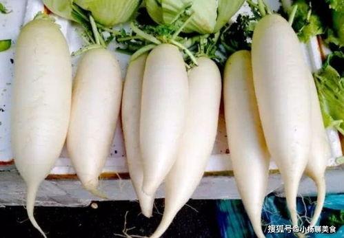 冬天吃瓜好还是吃萝卜好,瓜果与萝卜的冬日食趣对比