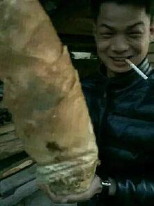 瓜哥带你吃瓜搞笑p图图片,搞笑P图大揭秘！