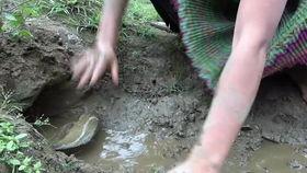 女梦见在瓜地里吃瓜,女子瓜地寻味，揭秘梦境中的甜蜜诱惑