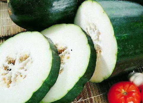 吃瓜解暑鳄鱼,吃瓜解暑鳄鱼，清凉一夏！