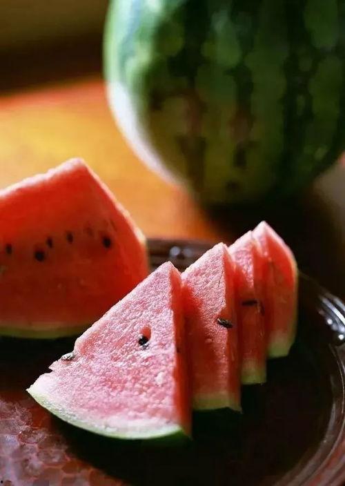 吃瓜解暑鳄鱼,吃瓜解暑鳄鱼，清凉一夏！