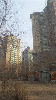 沈阳华府吃瓜事件,邻里纠纷引发社会关注