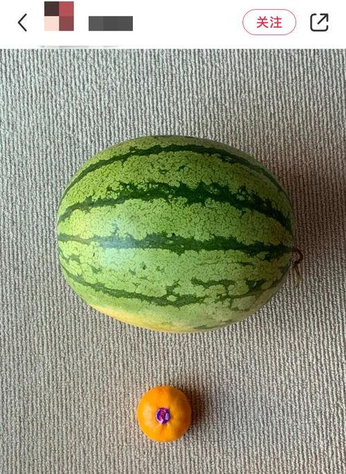 老外吃酸瓜视频,老外挑战本土酸瓜，滋味如何？