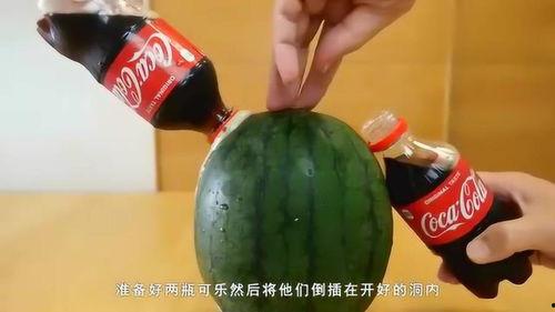 老外吃酸瓜视频,老外挑战本土酸瓜，滋味如何？