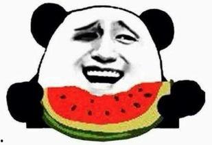 QQ吃瓜群众免费吃瓜