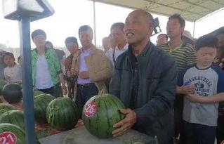 国际服吃瓜,揭秘游戏圈背后的精彩故事