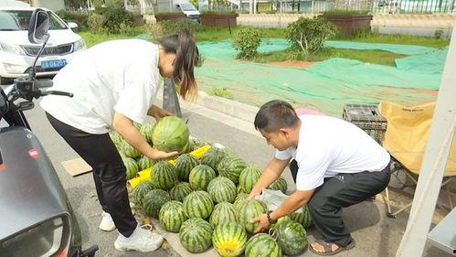 今天可以吃瓜自由了