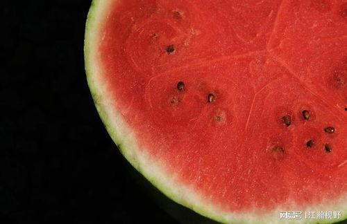 今天可以吃瓜自由了