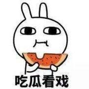 九尾吃瓜表情