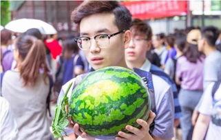 吃瓜学校霸凌,揭秘吃瓜学校霸凌事件背后的真相