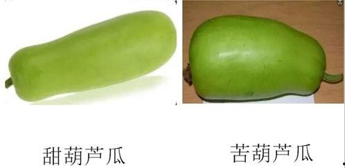 微信发吃瓜吃瓜,吃瓜群众的热议焦点