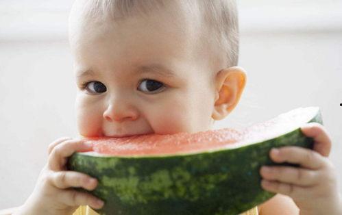 小孩吃瓜不摘花