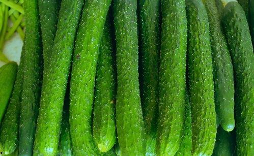 吃玉米瓜,探寻乡村田园的清新滋味