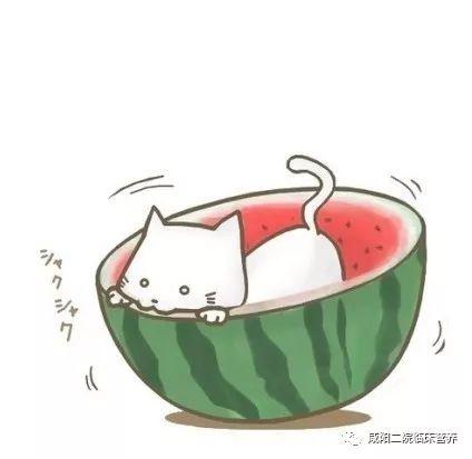 湫湫吃瓜版,揭秘娱乐圈幕后故事