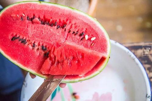 没有吃瓜味,为何“吃瓜味”成为网络热词