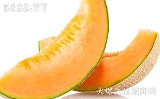 朝阳吃哈密瓜,尽享哈密瓜甜蜜滋味
