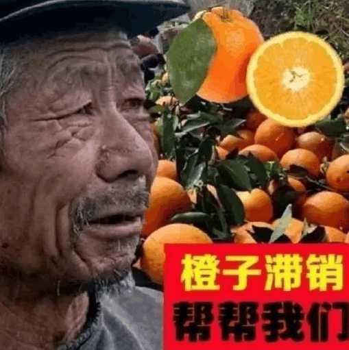吃瓜牟利合法吗