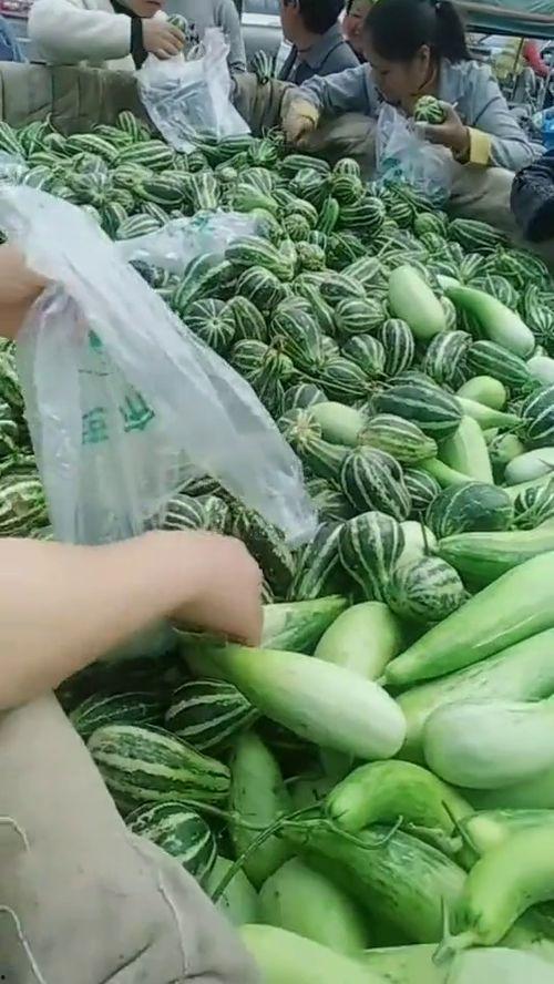 在街道吃瓜,品味市井生活百态