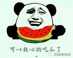 吃瓜群众的真相,网络舆论的众生相