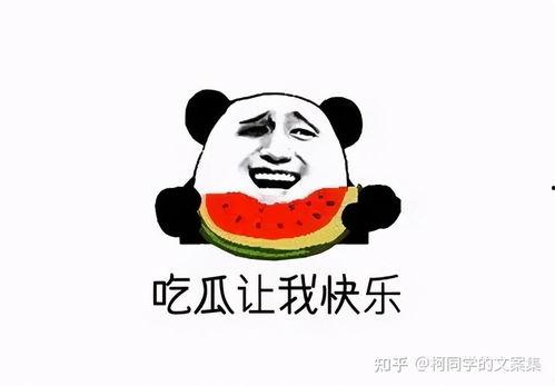 吃瓜群众的真相,网络舆论的众生相