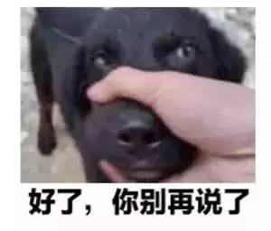 吃瓜表情包两个人,吃瓜表情包演绎的欢乐时光