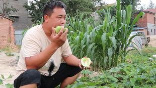 隔壁老张在吃瓜