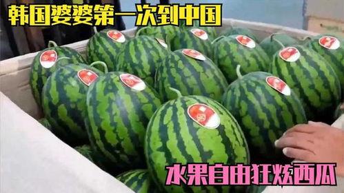 自由吃瓜组