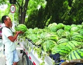 论临沂人吃瓜,探寻临沂人独特的饮食文化