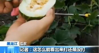 论临沂人吃瓜,探寻临沂人独特的饮食文化