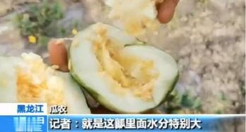 论临沂人吃瓜,探寻临沂人独特的饮食文化