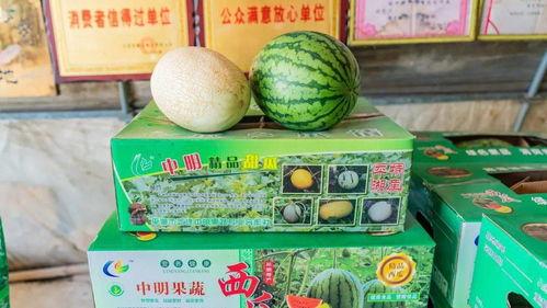 老卡吃瓜