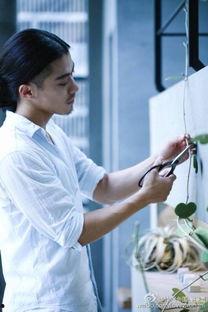 仲尼johnny吃瓜,揭秘娱乐圈吃瓜背后的真相