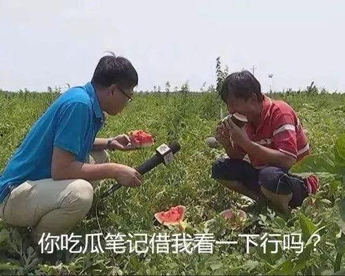 吃瓜系统现代沙雕